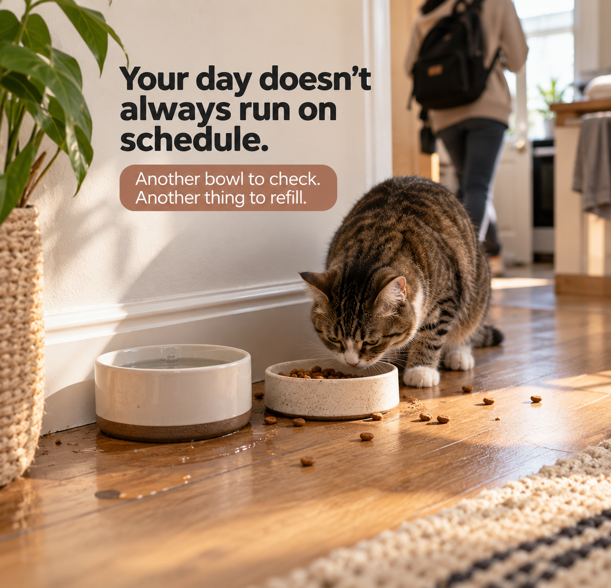 DailyFlow™ Gravity Feeder & Waterer